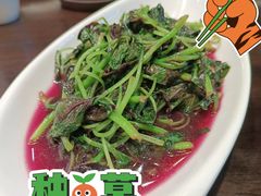 -茶叁酒肆·楚味江湖(菱角湖店)