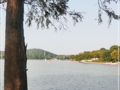-上海月湖雕塑公园