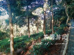 -青澳湾北回归线广场
