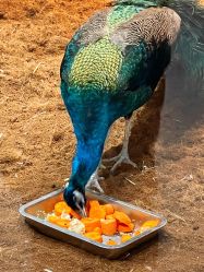 -Zoolung Zoolung动物主题公园(海信广场店)