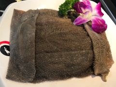 清油毛肚-二荆条·蜀鲜汇城市森林火锅