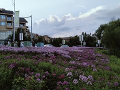 -长白山万达锦华套房酒店