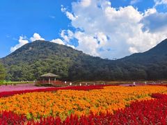 -广州市石门国家森林公园