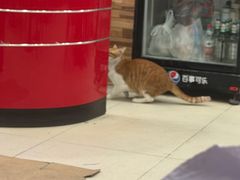 -珊珊小笼馆(仙霞路店)