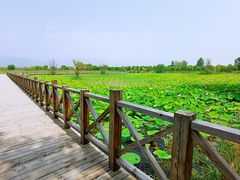 -野鸭湖国家湿地公园