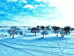 -塞罕坝国家级自然保护区