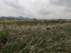 -光明小镇欢乐田园