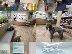 -美联众合动物医院·24h转诊中心