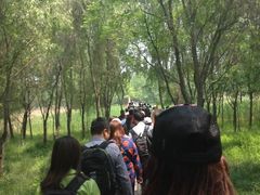 -微山湖红荷湿地景区