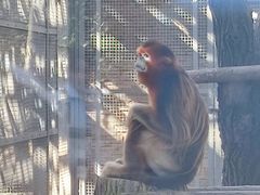 -石家庄市动物园