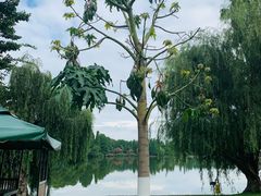 -云南滇池花园国际大酒店温泉