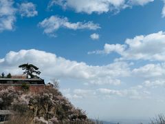 -妙峰山风景名胜区
