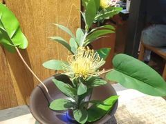 -中粮万科长阳半岛