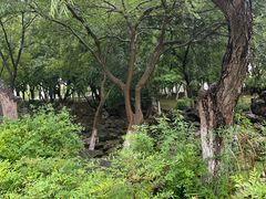 -东湖景区
