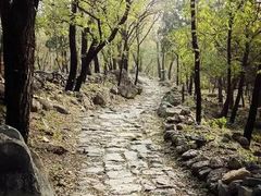 -阳台山自然风景区