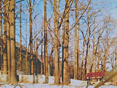 -阳台山自然风景区