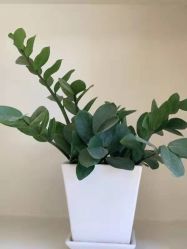 -THE LOG SALON 记录