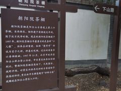 -阳台山自然风景区