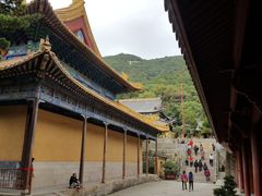 -普陀山风景名胜区-法雨禅寺