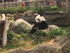 -香港海洋公园