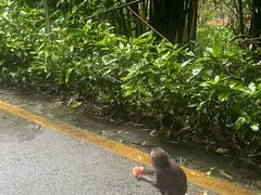 -黔灵山公园