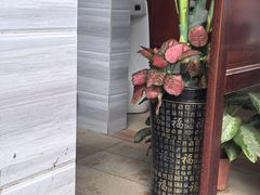 -海南槟榔谷黎苗文化旅游区