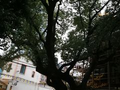 -上海蔡元培故居陈列馆