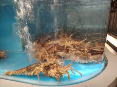 -黑木原精致料理·铁板烧