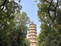 -灵谷景区