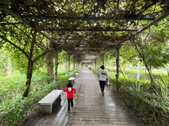 -大屏嶂森林公园
