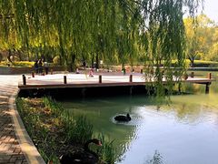 -金桥现代产业园区-停车场