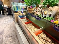 -亚马逊蒸汽活海鲜自助(LCM置汇旭辉广场店)
