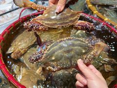 -好兄弟郭巨海鲜(天一阁店)