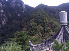 -王顺山国家森林公园
