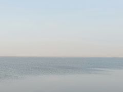 -大港湿地公园
