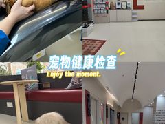 -御宝贝24h宠物医院·转诊中心·CT核磁血透中心(厦门总院)