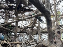 -长鹿旅游休博园