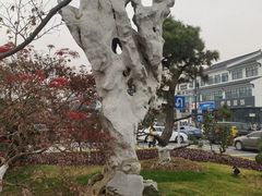 -相门城墙文化休闲景区
