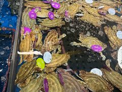 -盒马鲜生(顺义店)