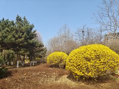-前关湿地公园