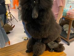 -龙湖南京江北天街