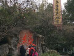 -杭州黄龙洞