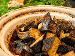 砂锅臭豆腐-同庆楼(金宝汇店)