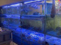 -海月湾海景餐厅( 嵊泗本地老字号店)