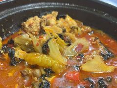 -大富蚝乌东哥饭店·石锅鱼杂·柠檬鸭(革新路店)