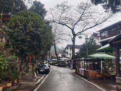 -龙井村