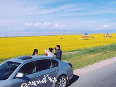 -青海湖国家重点风景名胜区