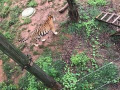 -昆明动物园