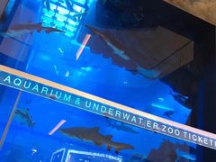 -迪拜水族馆及水下动物园