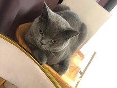 -壹人壹像工作室(购物公园店)